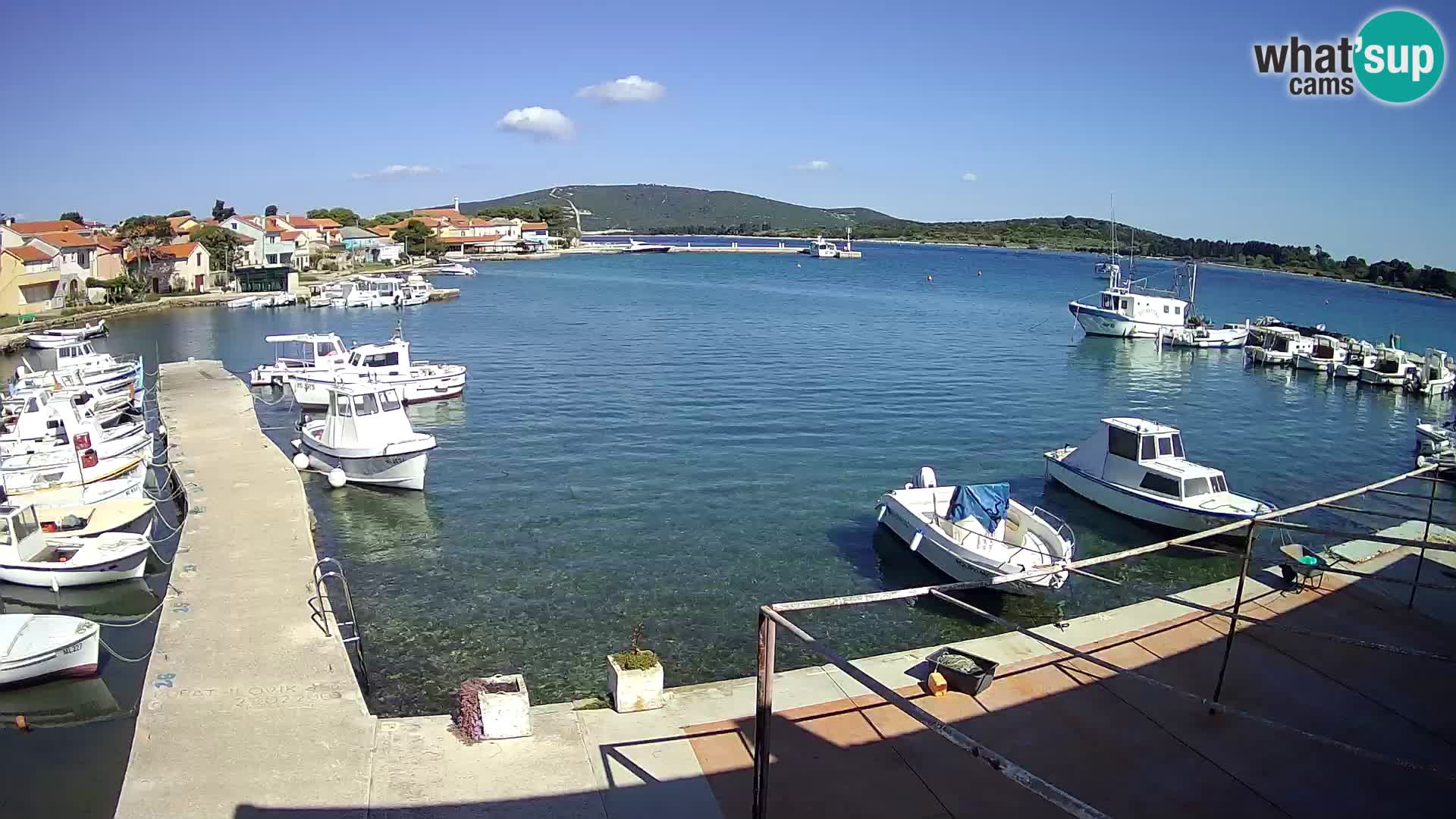 Livecam Asinello – San Piero