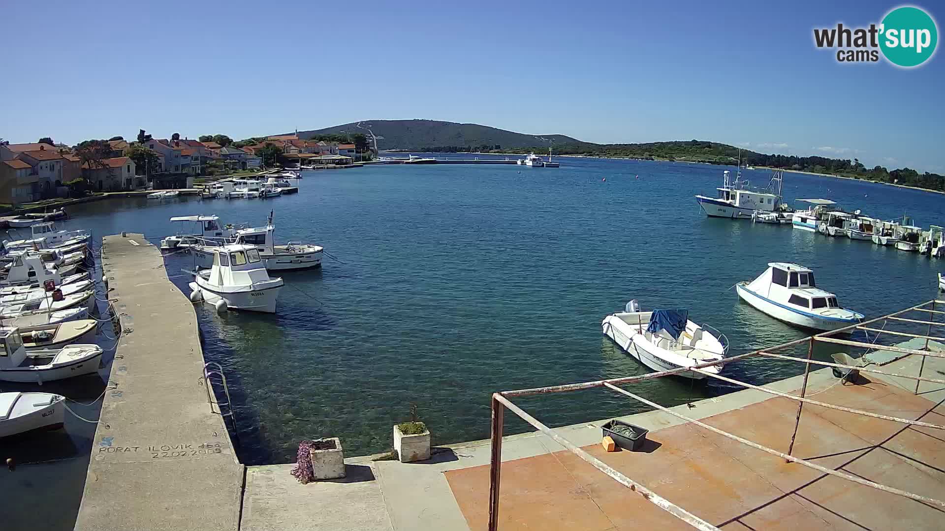 Webcam Ilovik – Sveti Petar