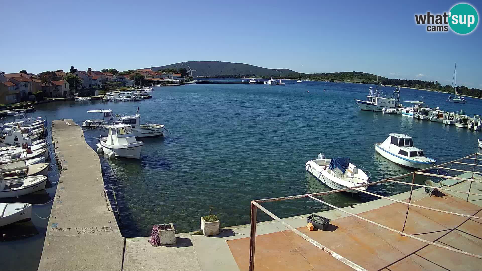 Livecam Asinello – San Piero