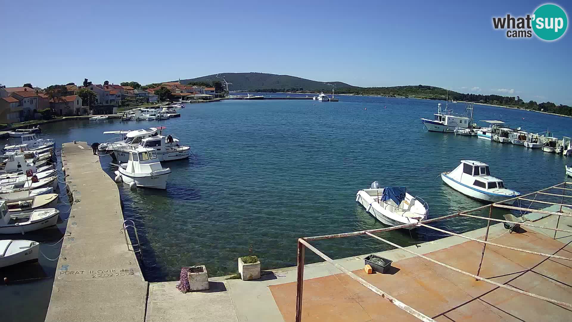 Livecam Asinello – San Piero