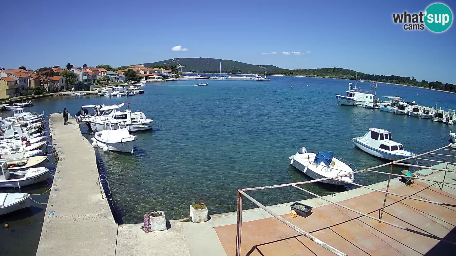Camera en vivo Ilovik – Sveti Petar