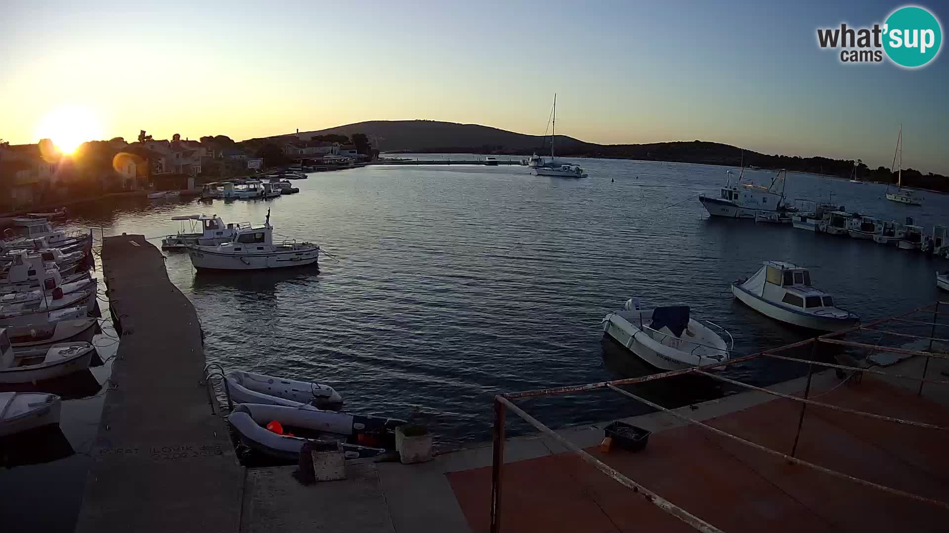 Livecam Asinello – San Piero