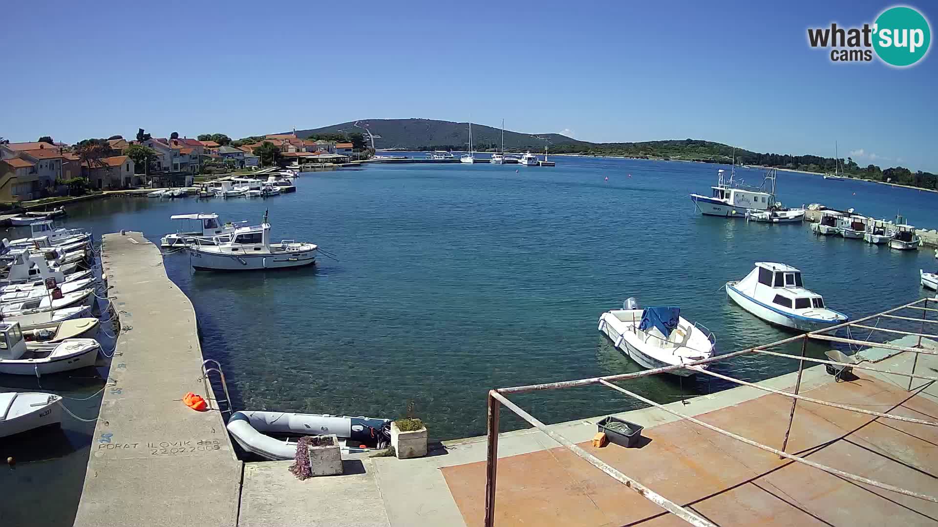 Camera en vivo Ilovik – Sveti Petar