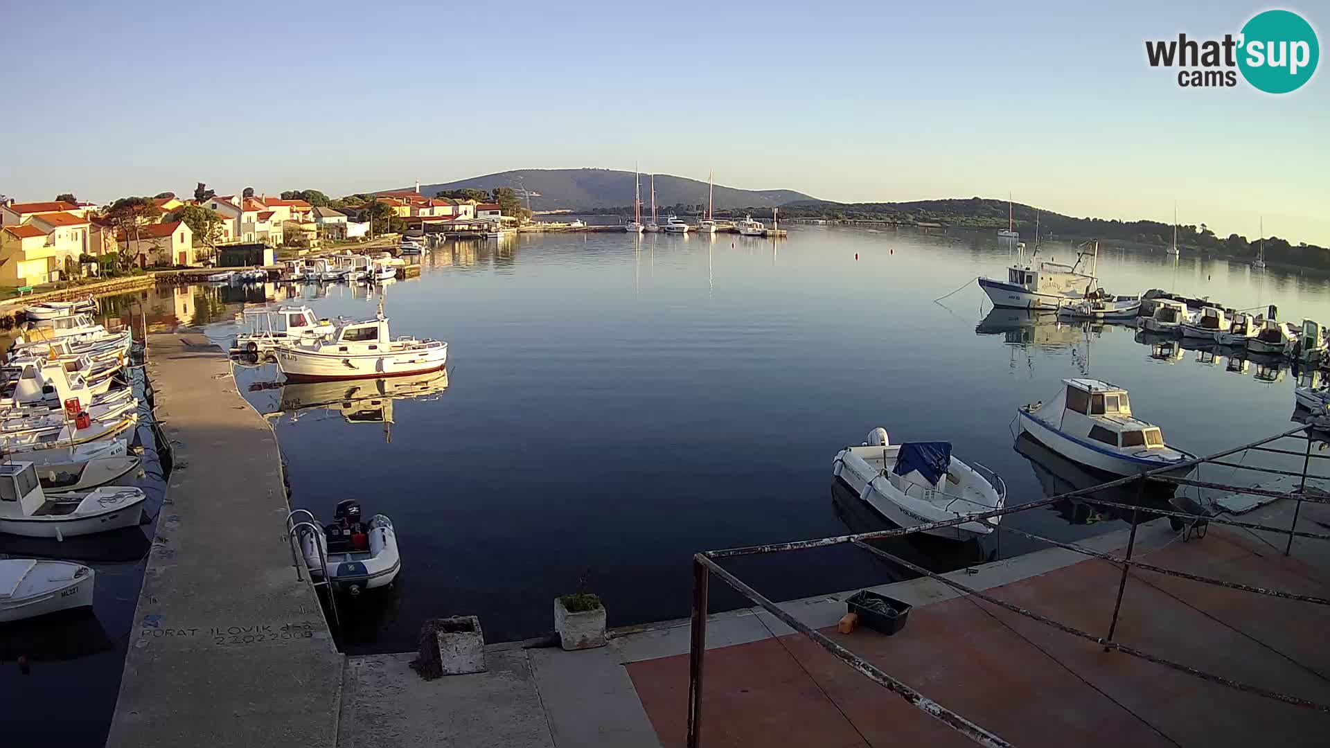 Livecam Asinello – San Piero