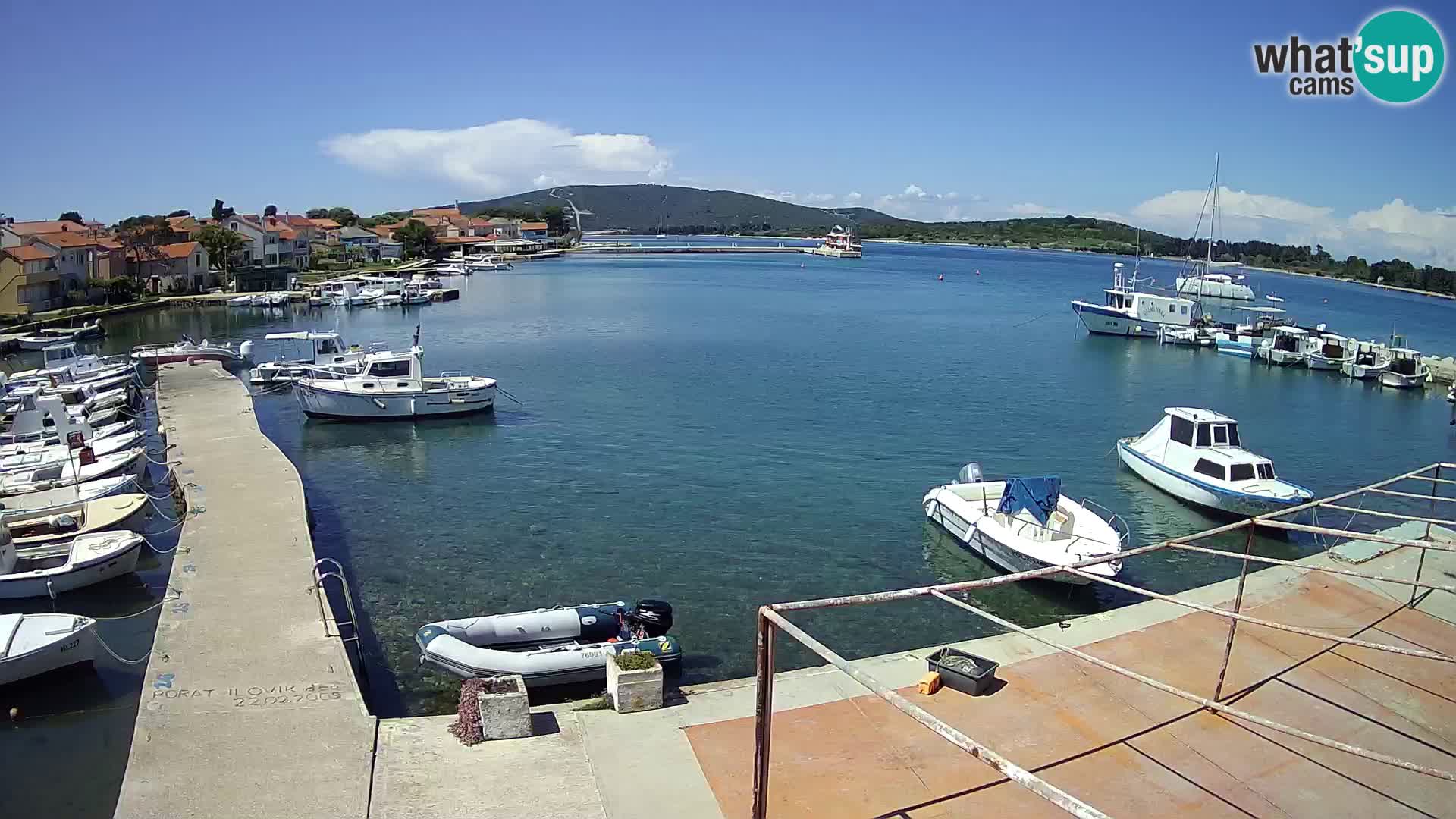 Camera en vivo Ilovik – Sveti Petar