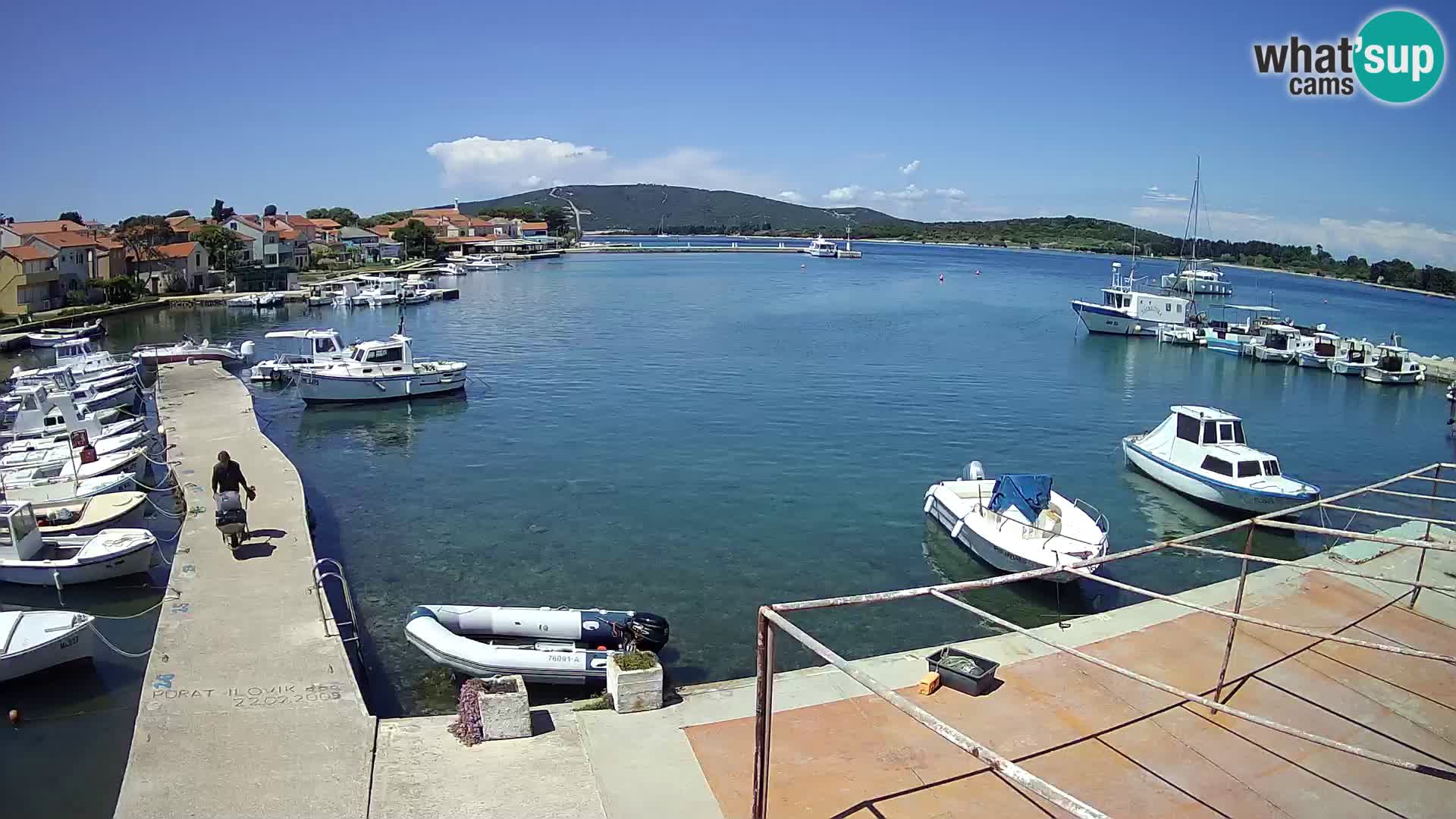 Camera en vivo Ilovik – Sveti Petar