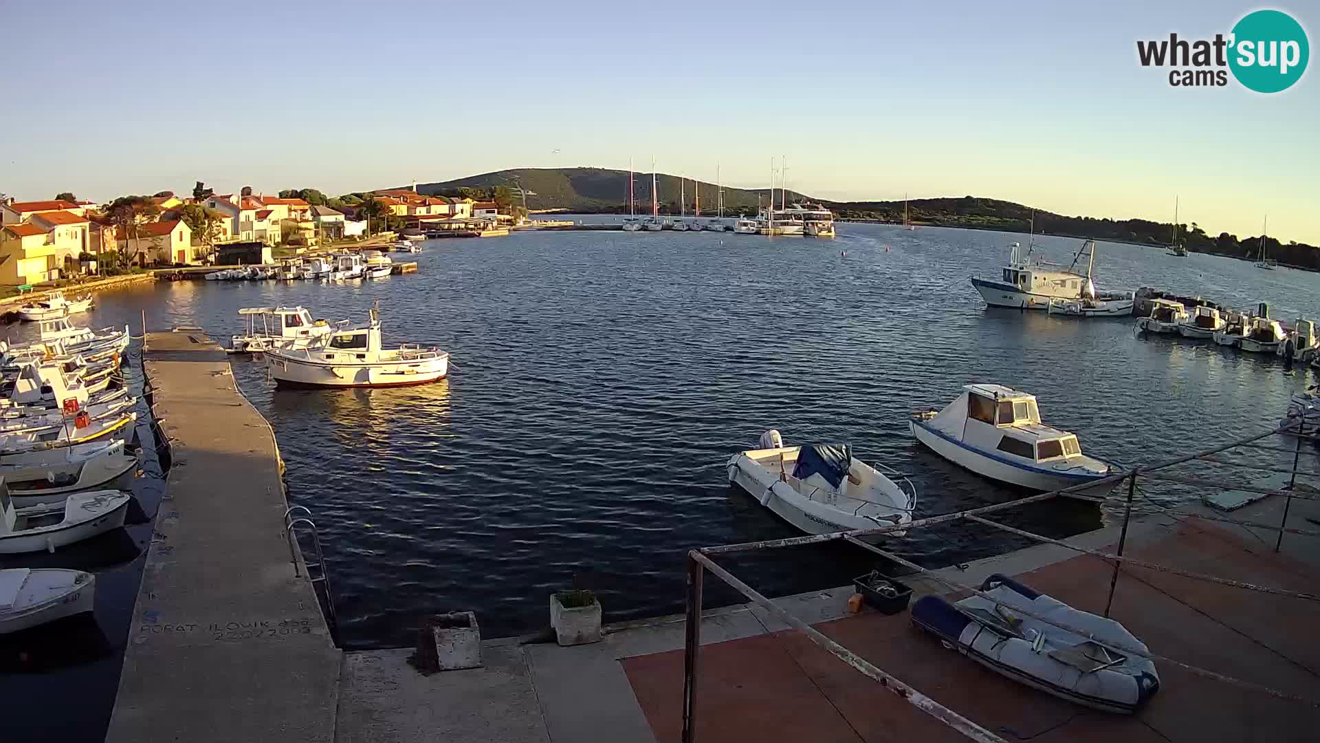 Livecam Asinello – San Piero