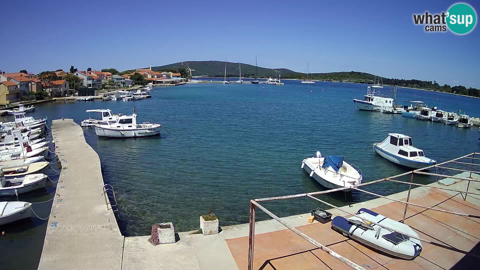 Livecam Asinello – San Piero