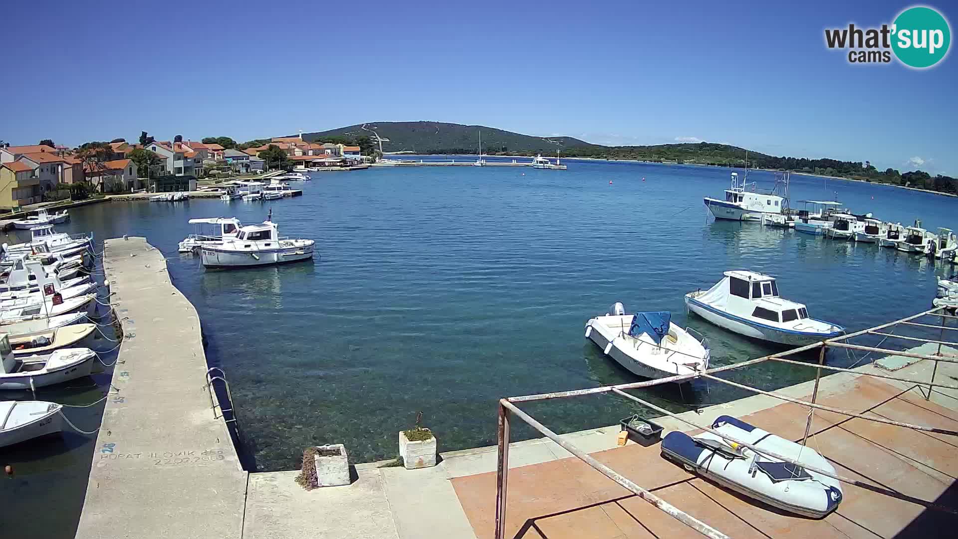 Livecam Asinello – San Piero