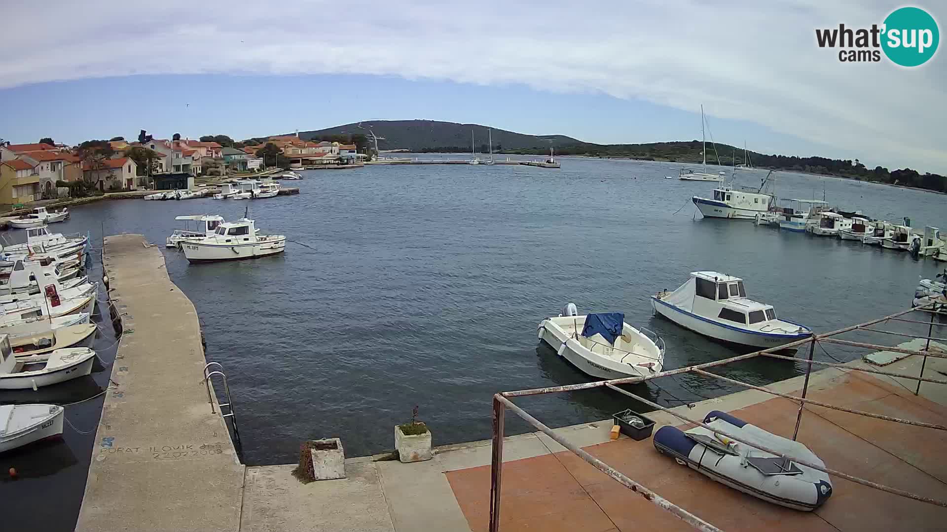 Livecam Asinello – San Piero