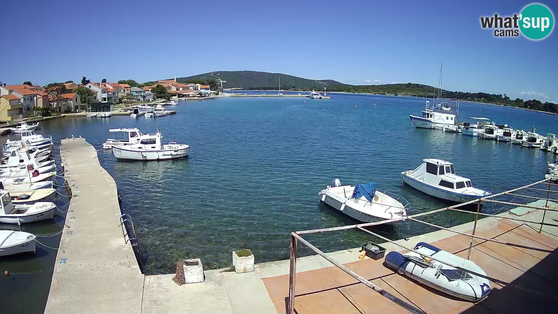 Livecam Asinello – San Piero