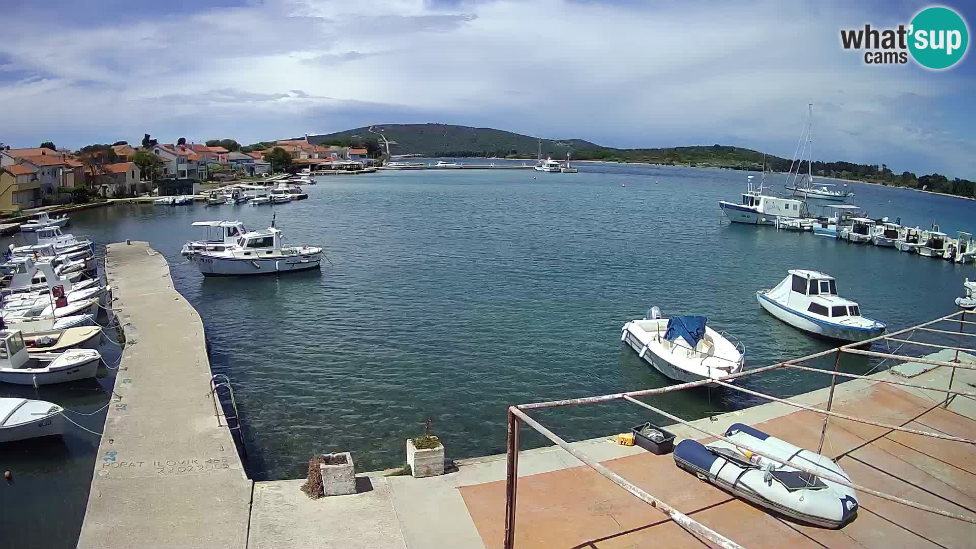 Livecam Asinello – San Piero