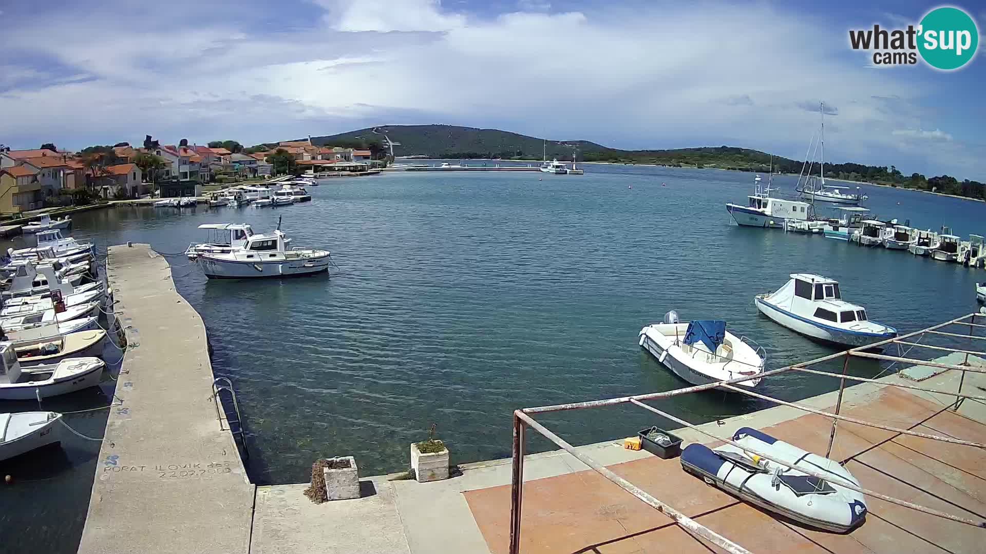 Livecam Asinello – San Piero