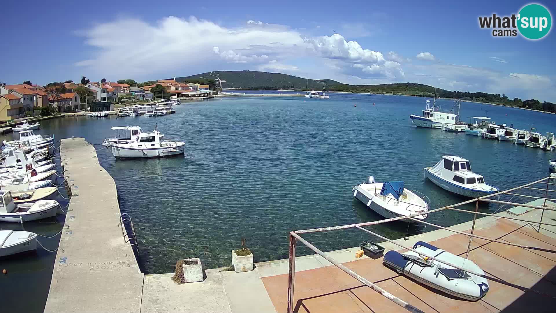 Livecam Asinello – San Piero