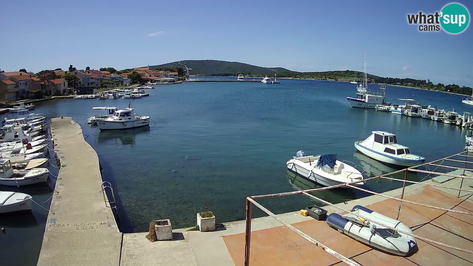 Livecam Asinello – San Piero
