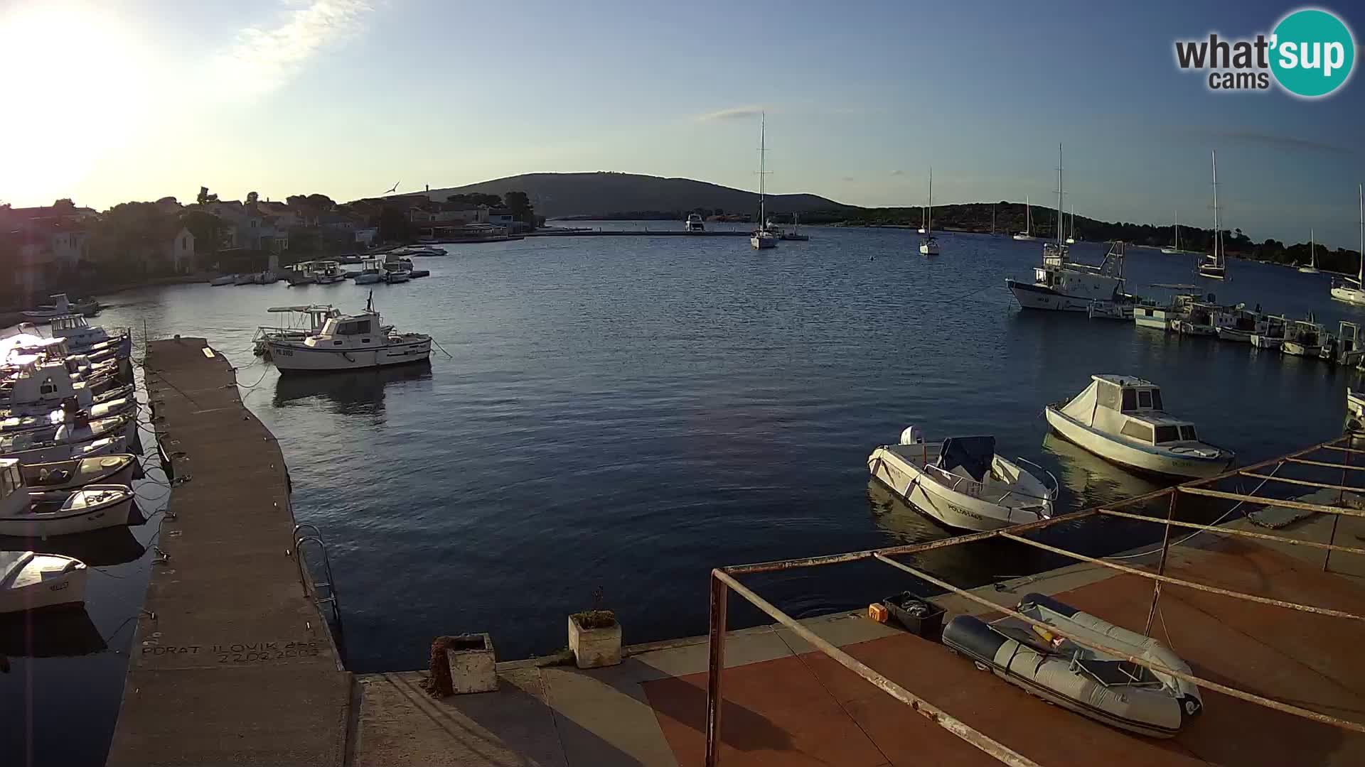 Livecam Asinello – San Piero