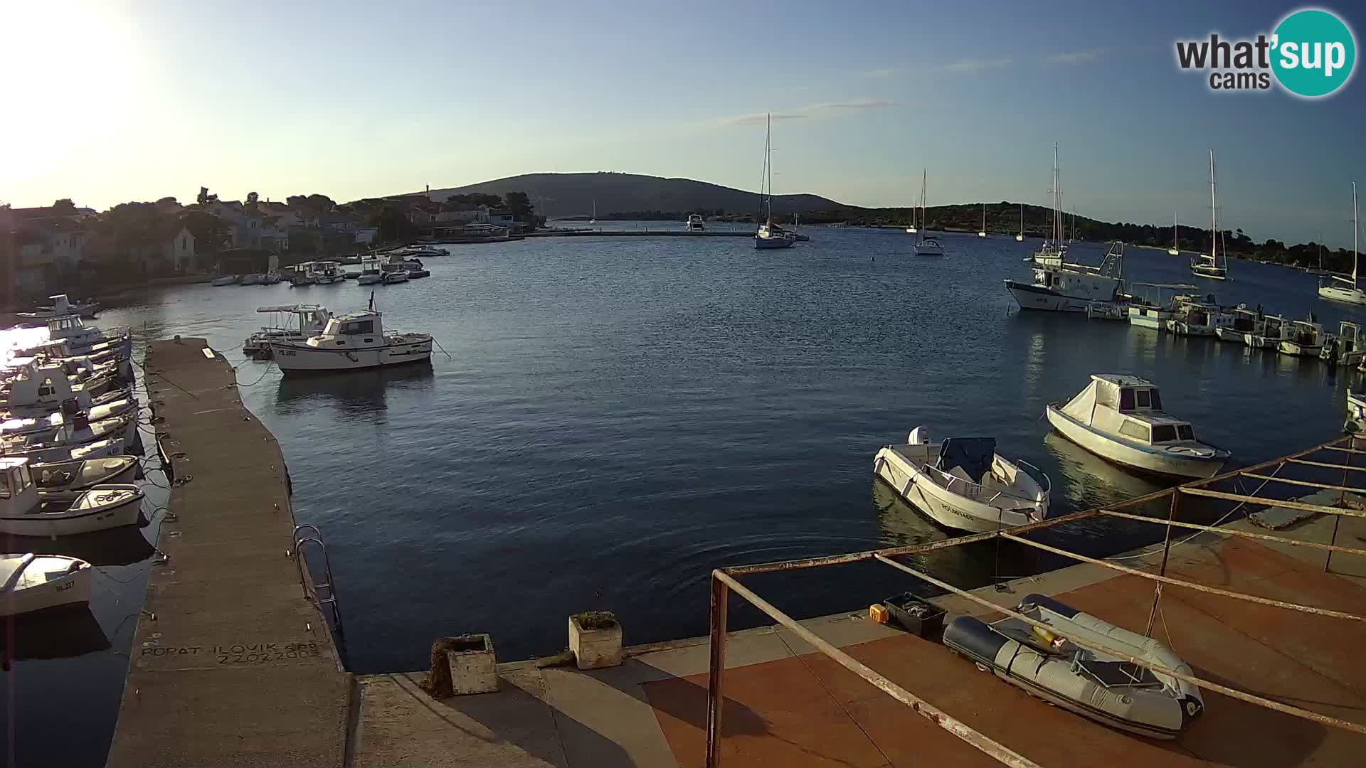 Livecam Asinello – San Piero