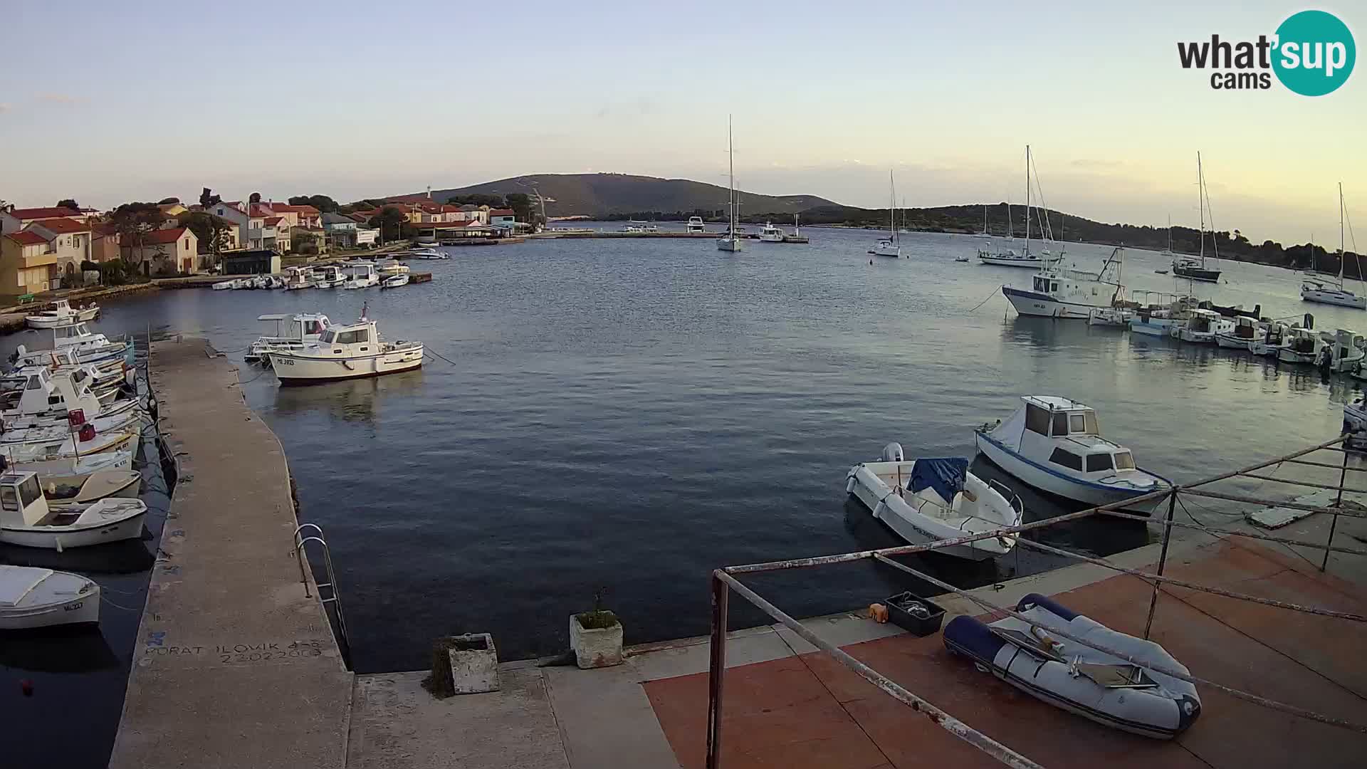 Livecam Asinello – San Piero