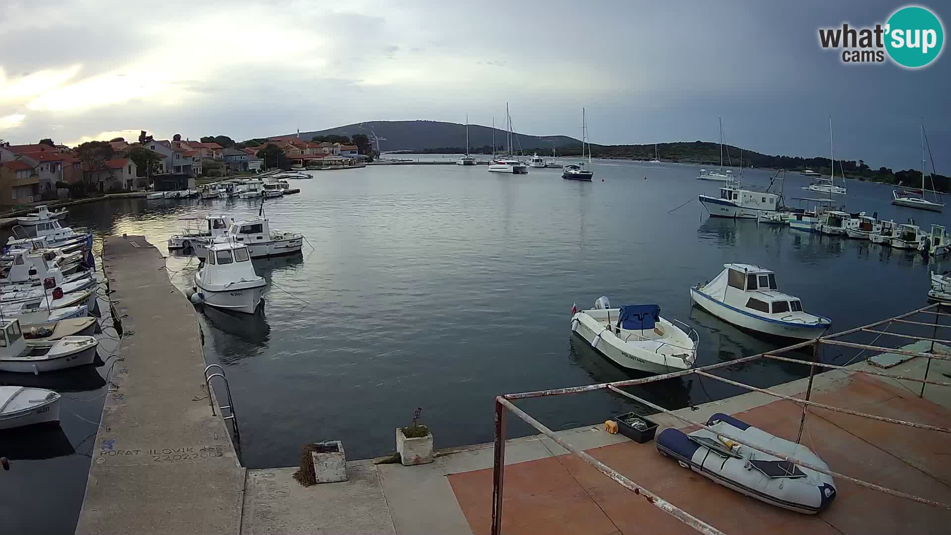 Livecam Asinello – San Piero