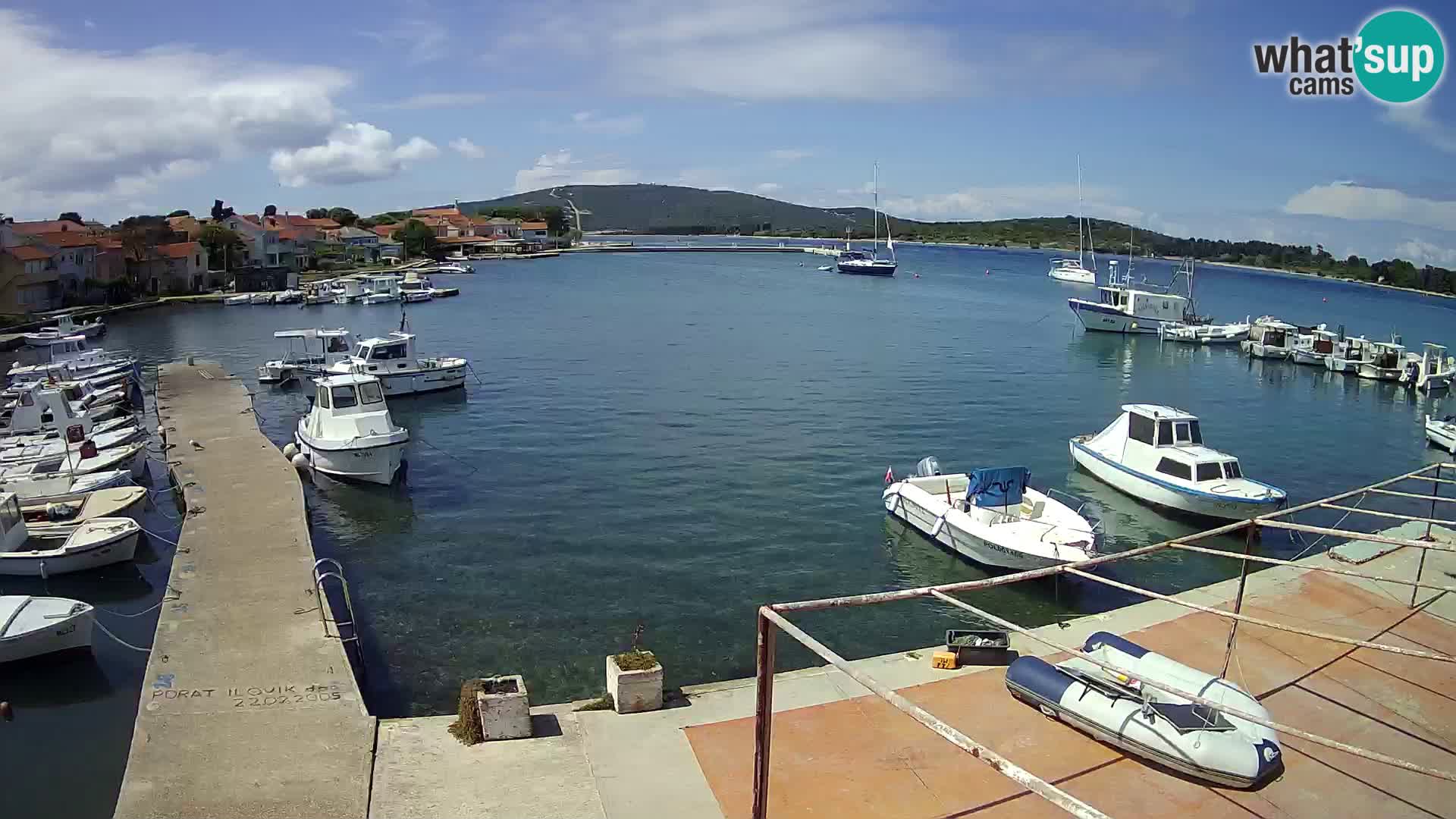 Livecam Asinello – San Piero