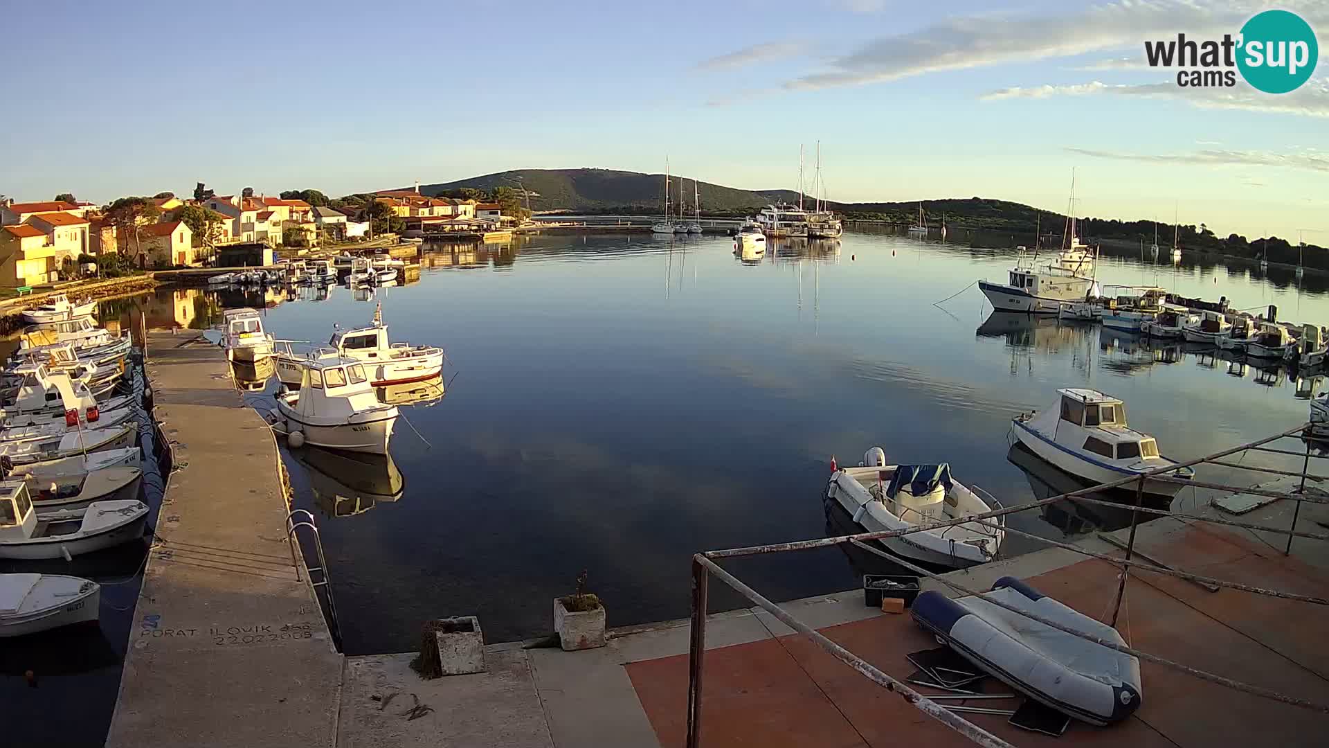Livecam Asinello – San Piero