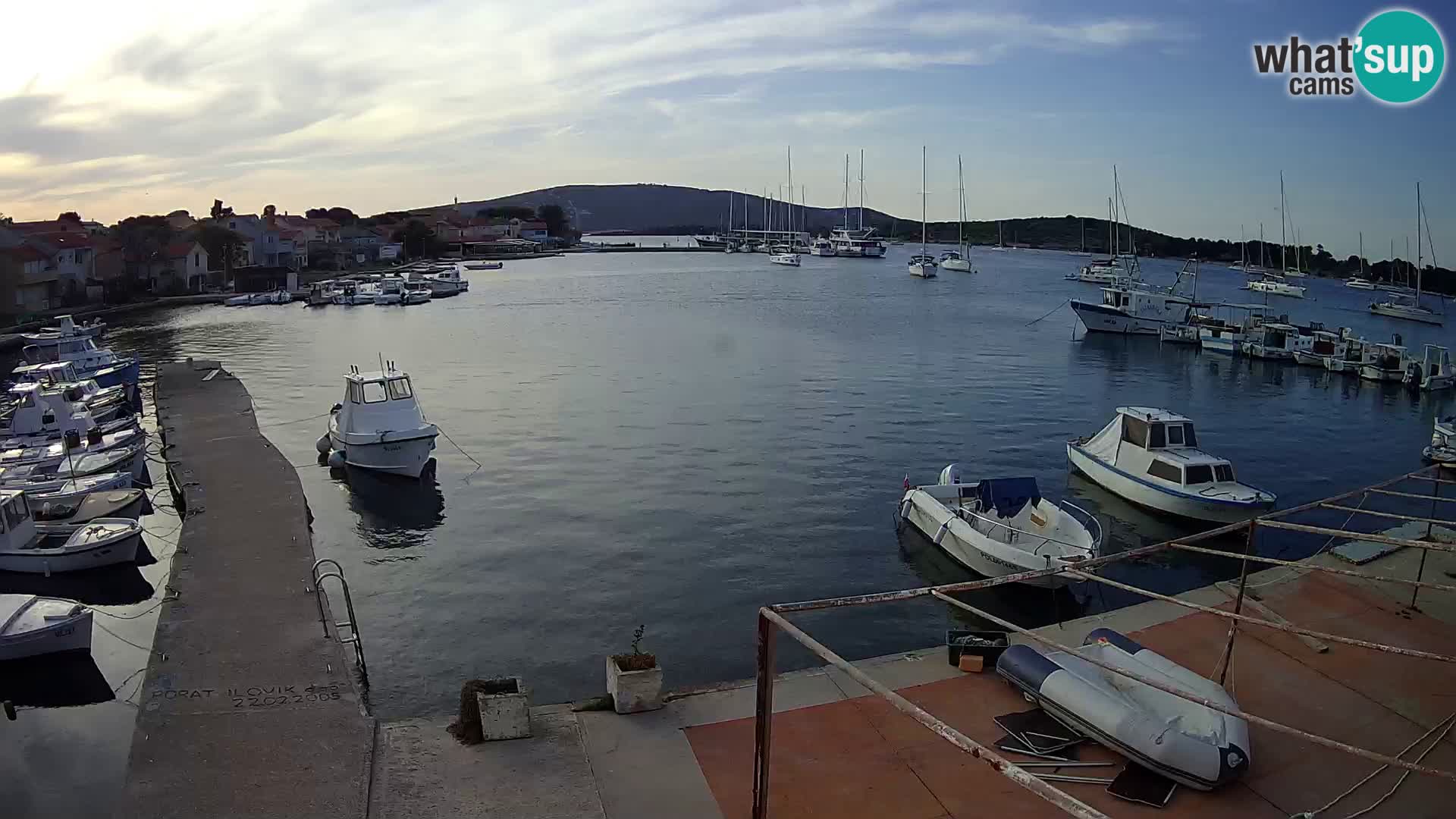 Livecam Asinello – San Piero