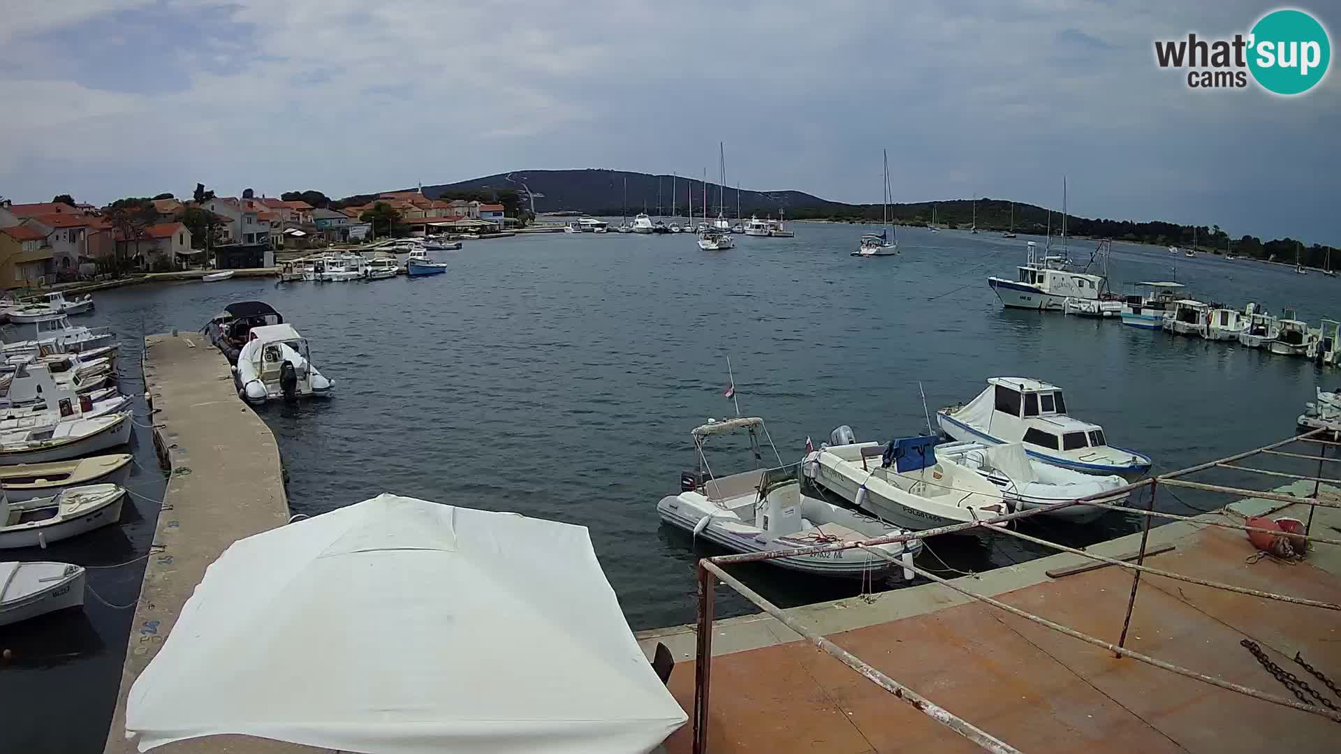 Camera en vivo Ilovik – Sveti Petar