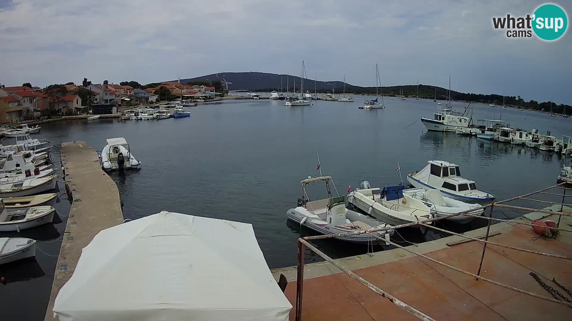 Camera en vivo Ilovik – Sveti Petar