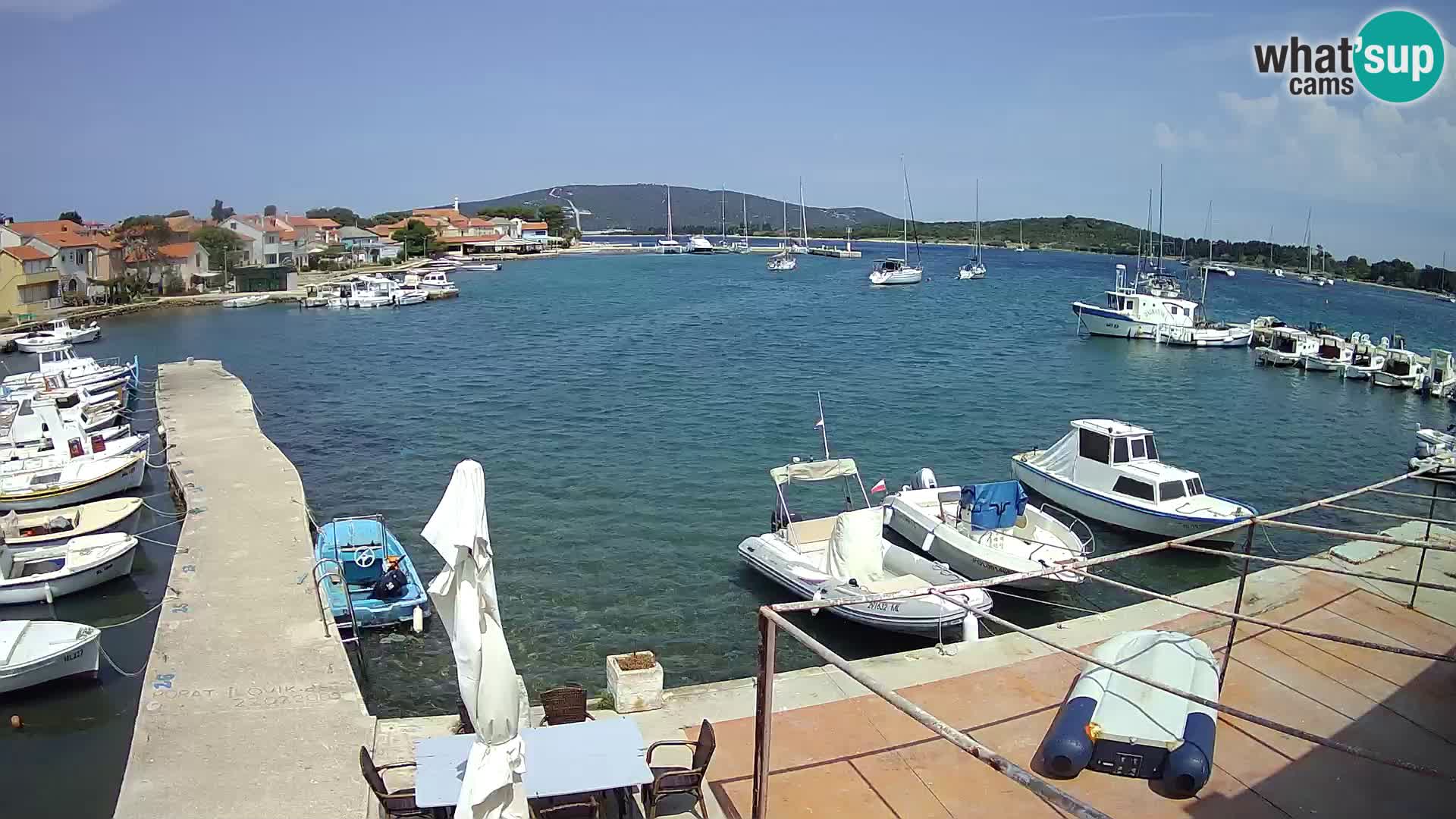 Livecam Asinello – San Piero