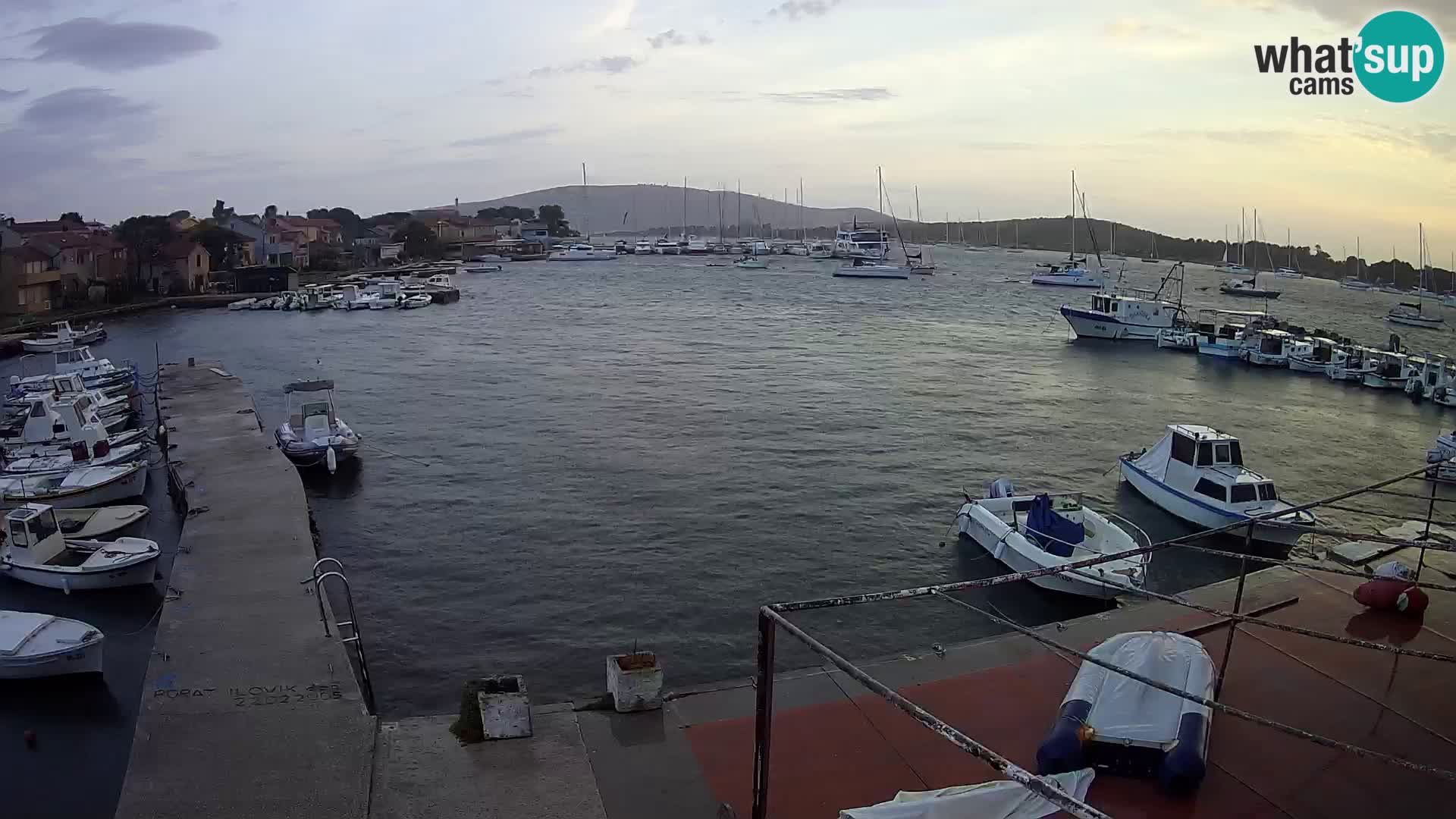 Livecam Asinello – San Piero