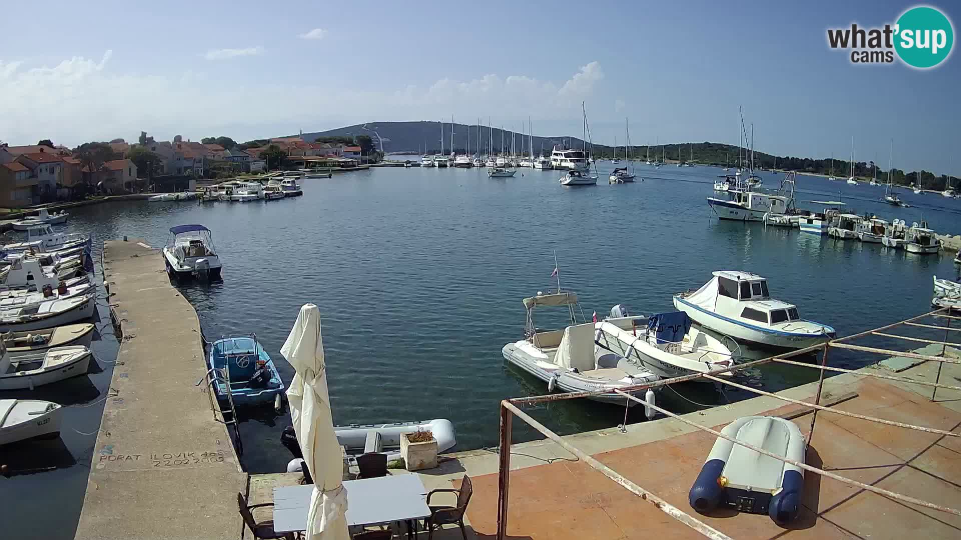 Livecam Asinello – San Piero