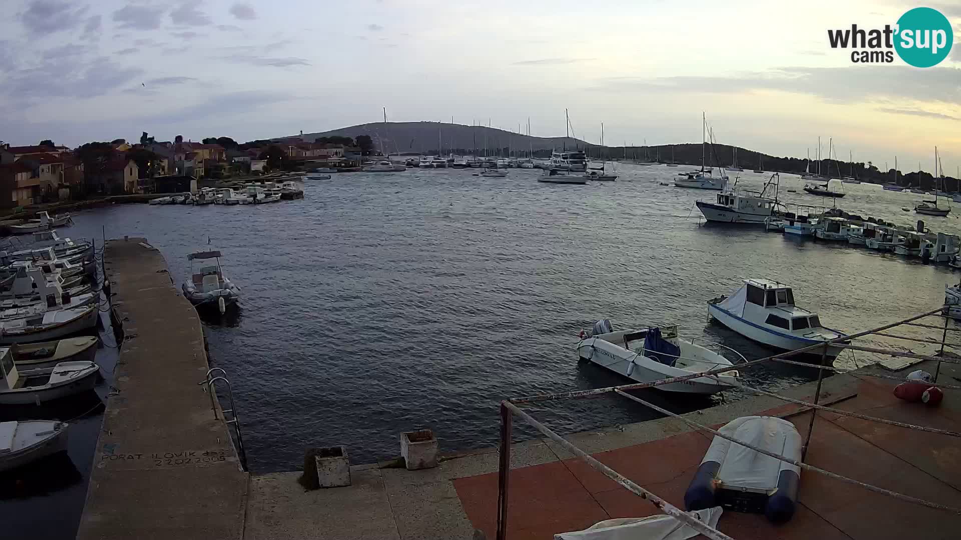 Livecam Asinello – San Piero