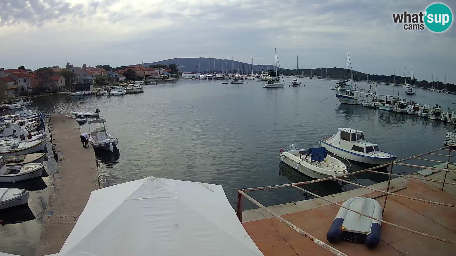 Camera en vivo Ilovik – Sveti Petar