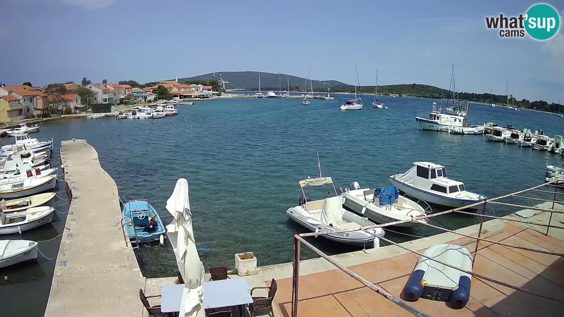 Livecam Asinello – San Piero