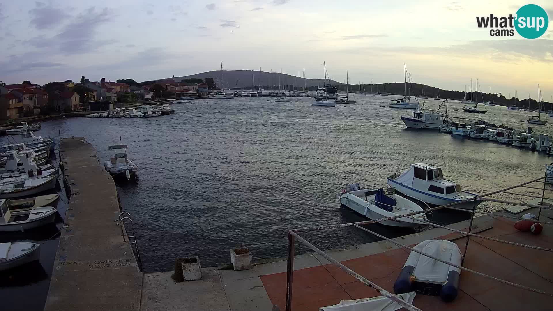 Camera en vivo Ilovik – Sveti Petar