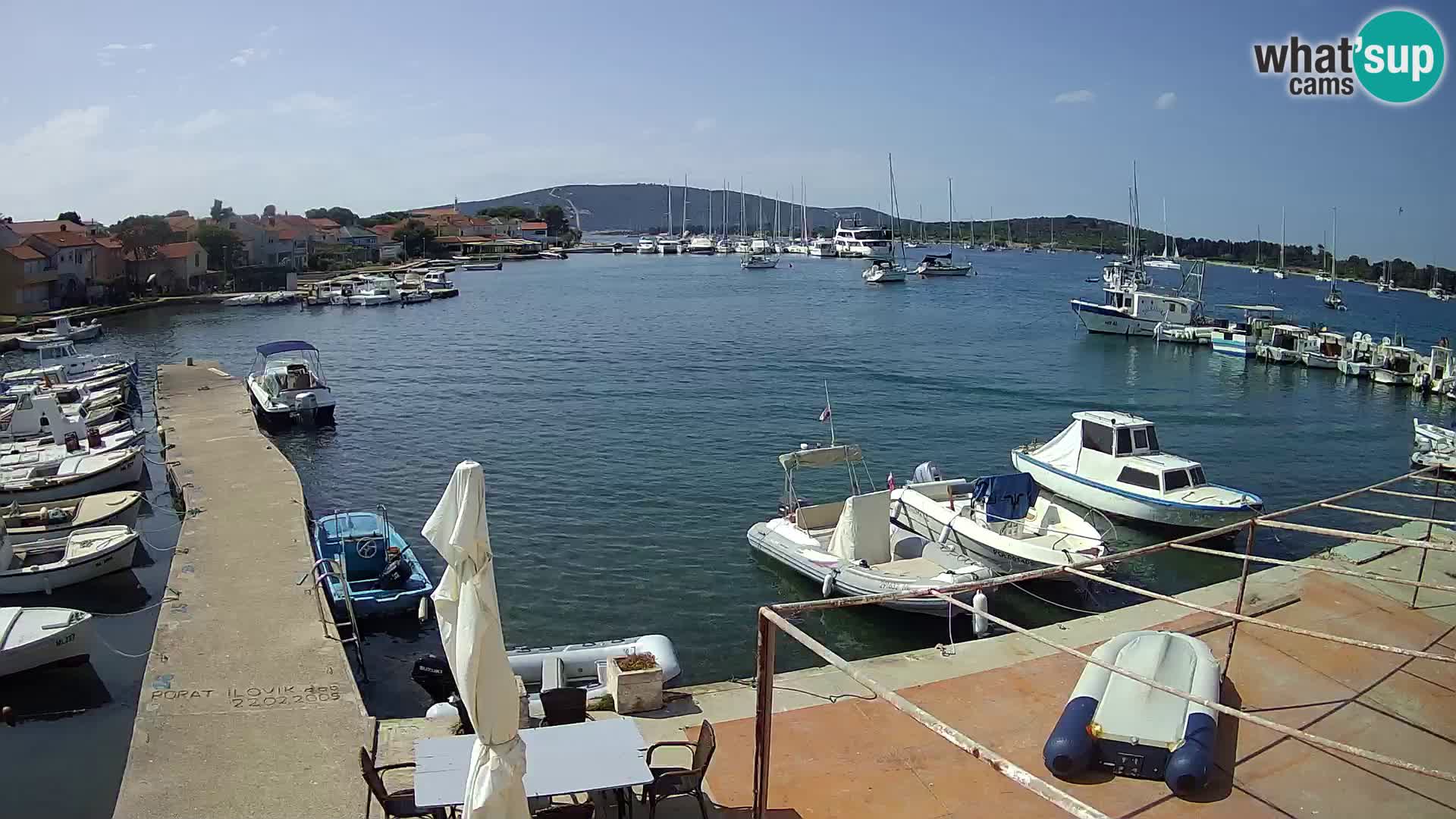 Livecam Asinello – San Piero