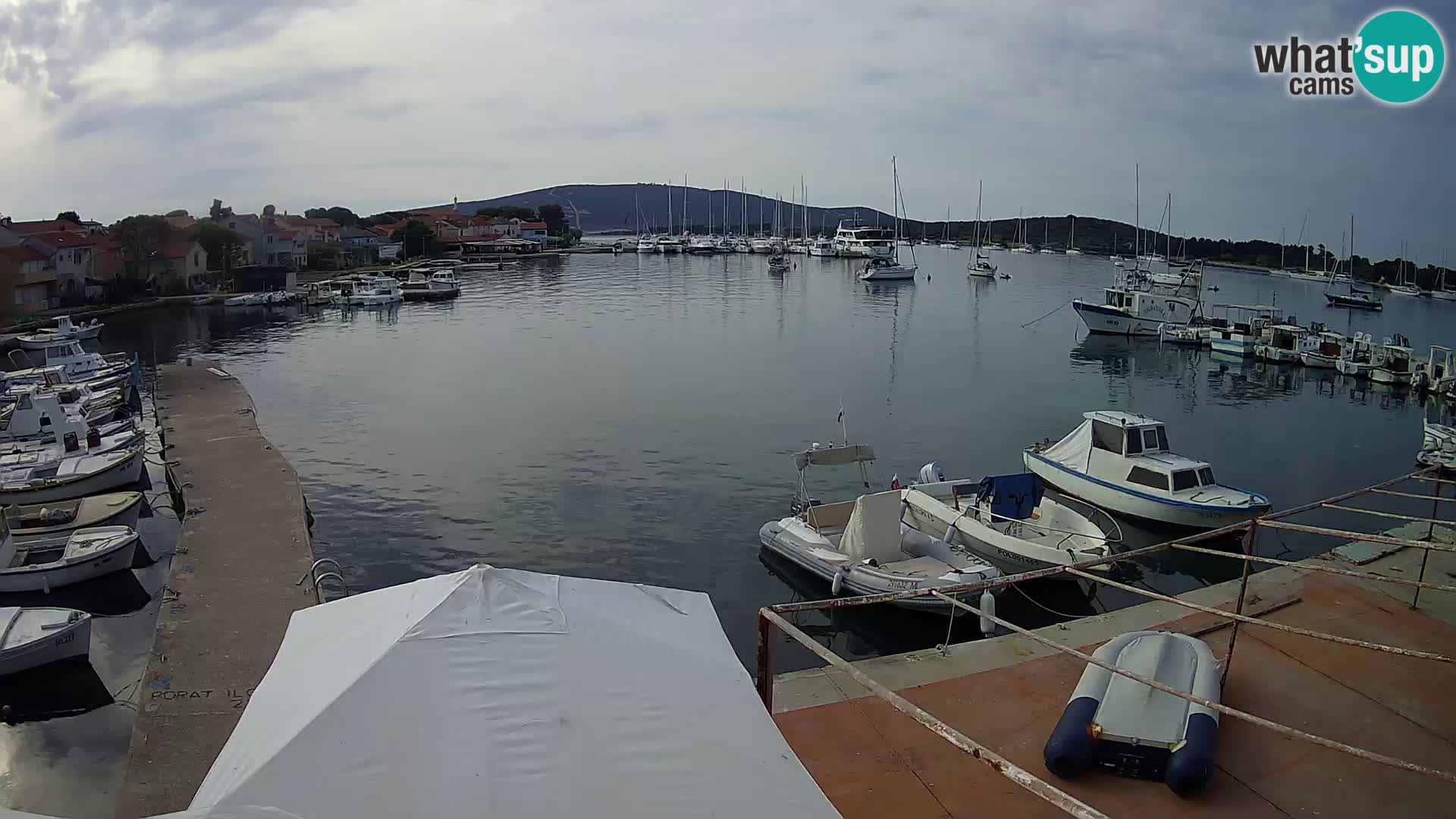 Livecam Asinello – San Piero