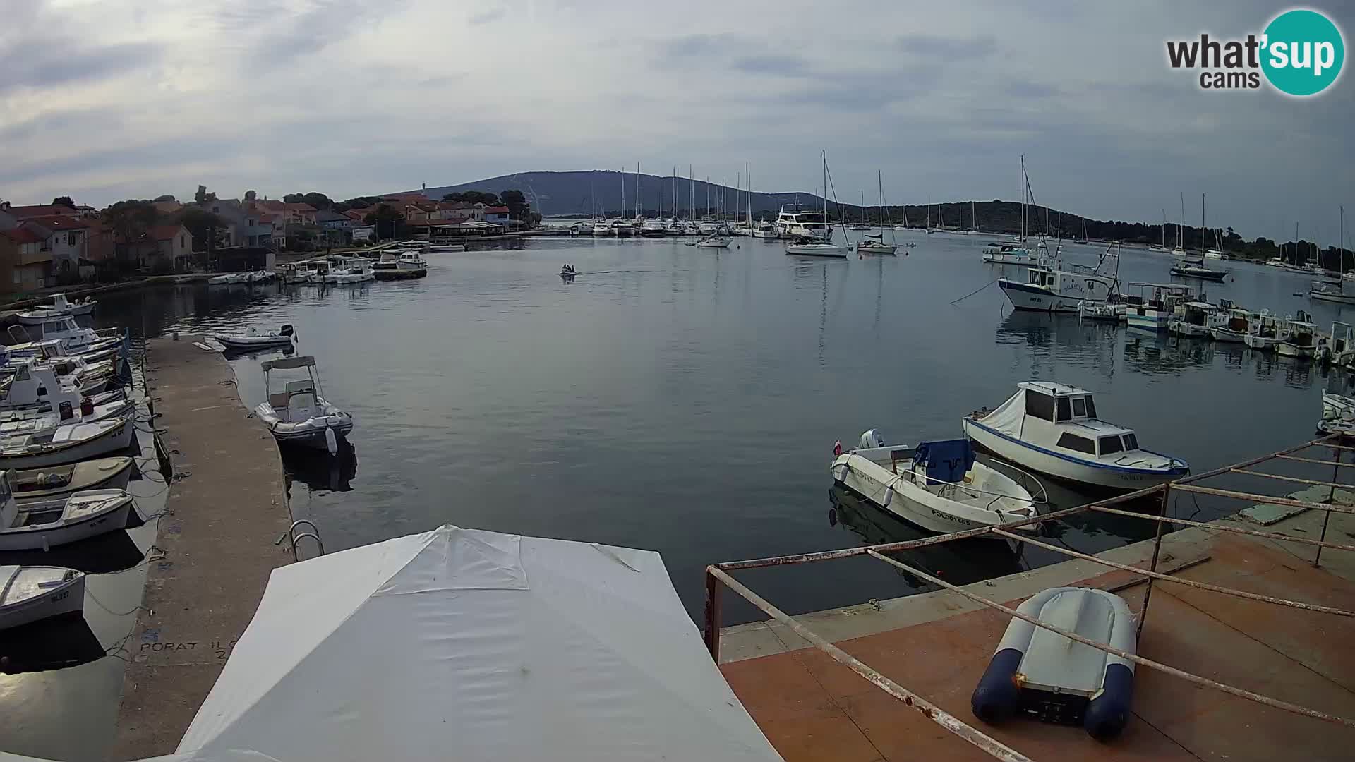 Camera en vivo Ilovik – Sveti Petar
