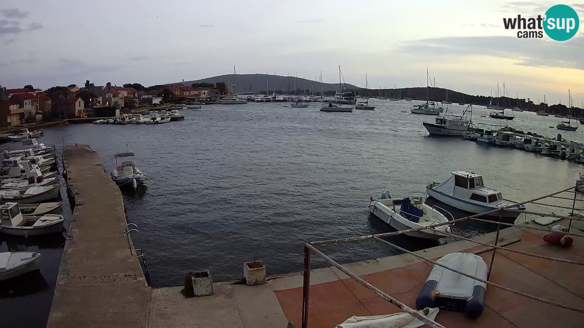 Livecam Asinello – San Piero
