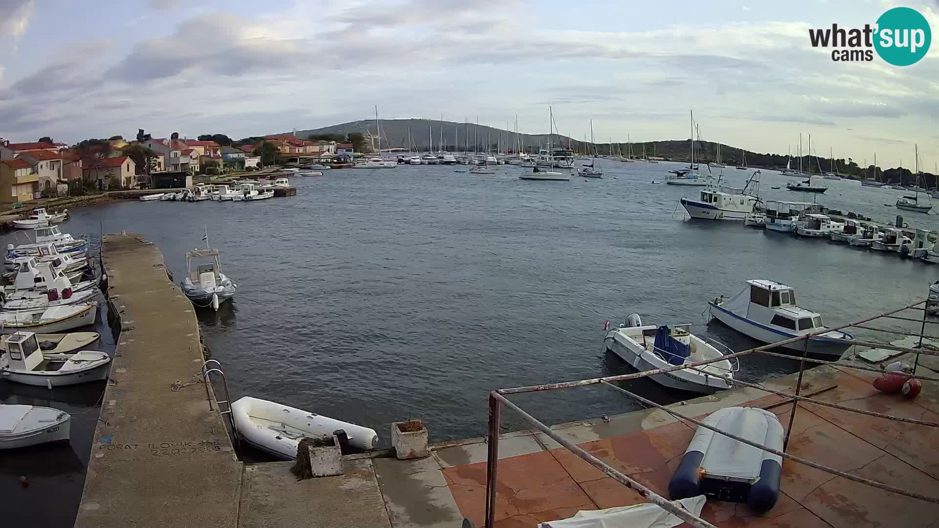 Camera en vivo Ilovik – Sveti Petar