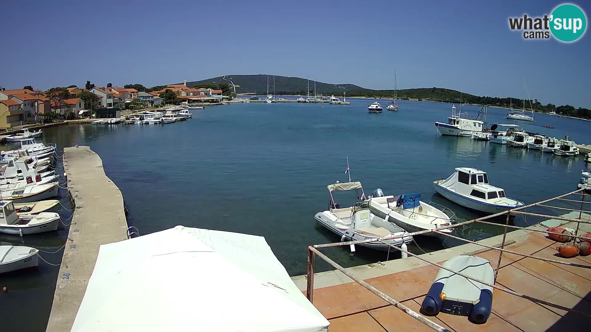 Livecam Asinello – San Piero