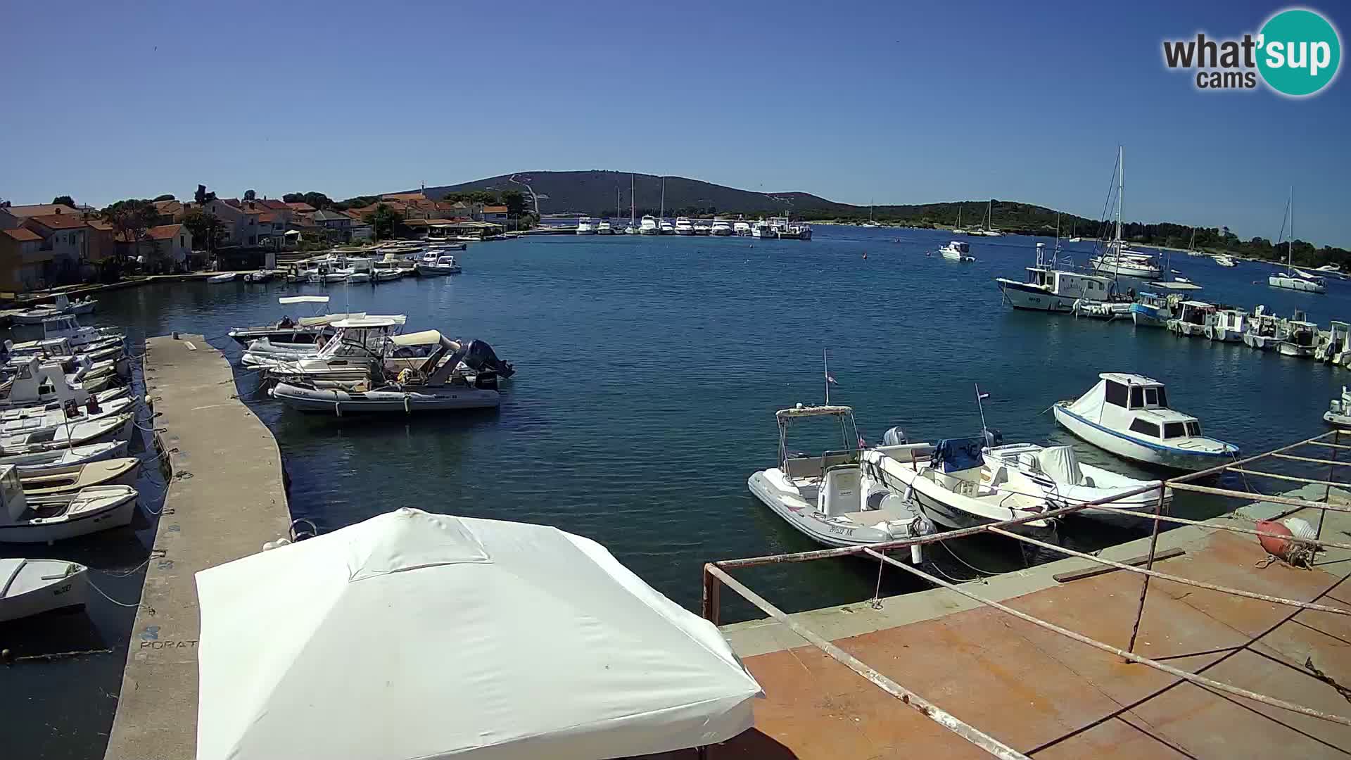 Livecam Asinello – San Piero