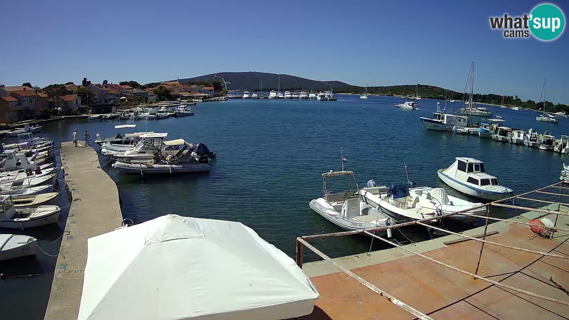 Livecam Asinello – San Piero
