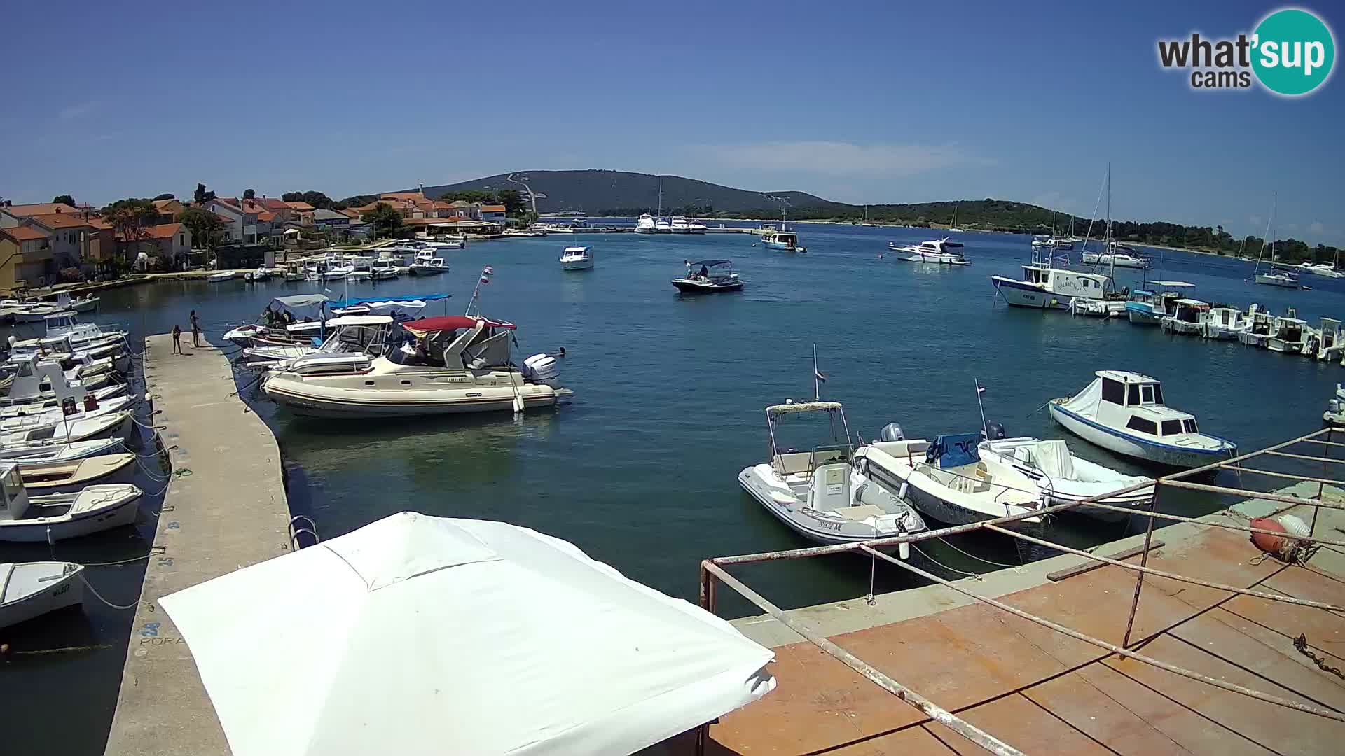 Livecam Asinello – San Piero