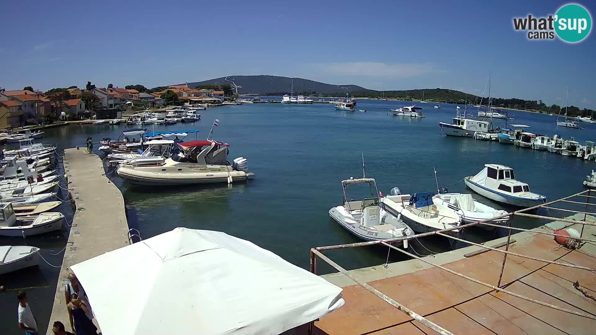 Livecam Asinello – San Piero