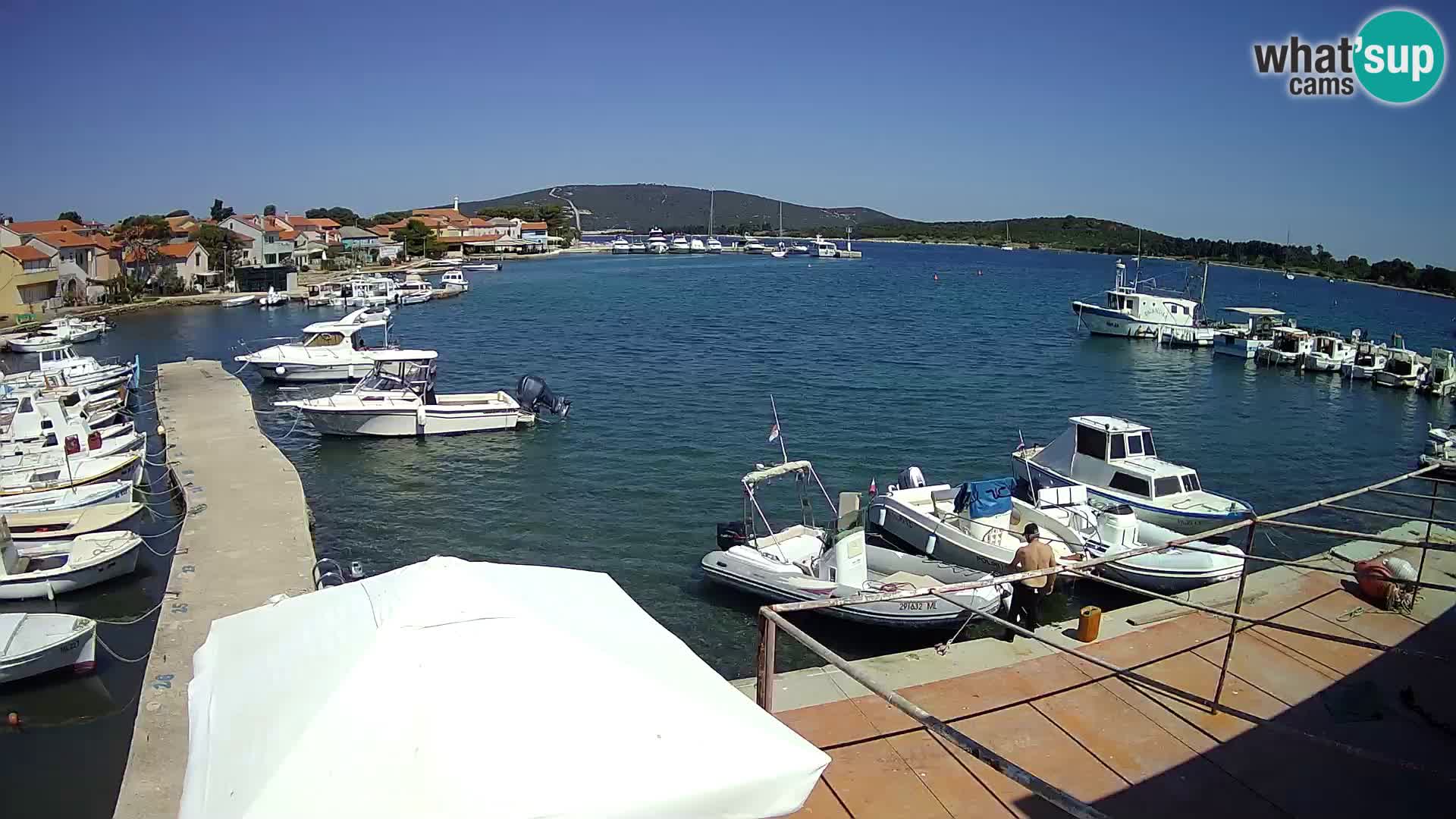 Livecam Asinello – San Piero