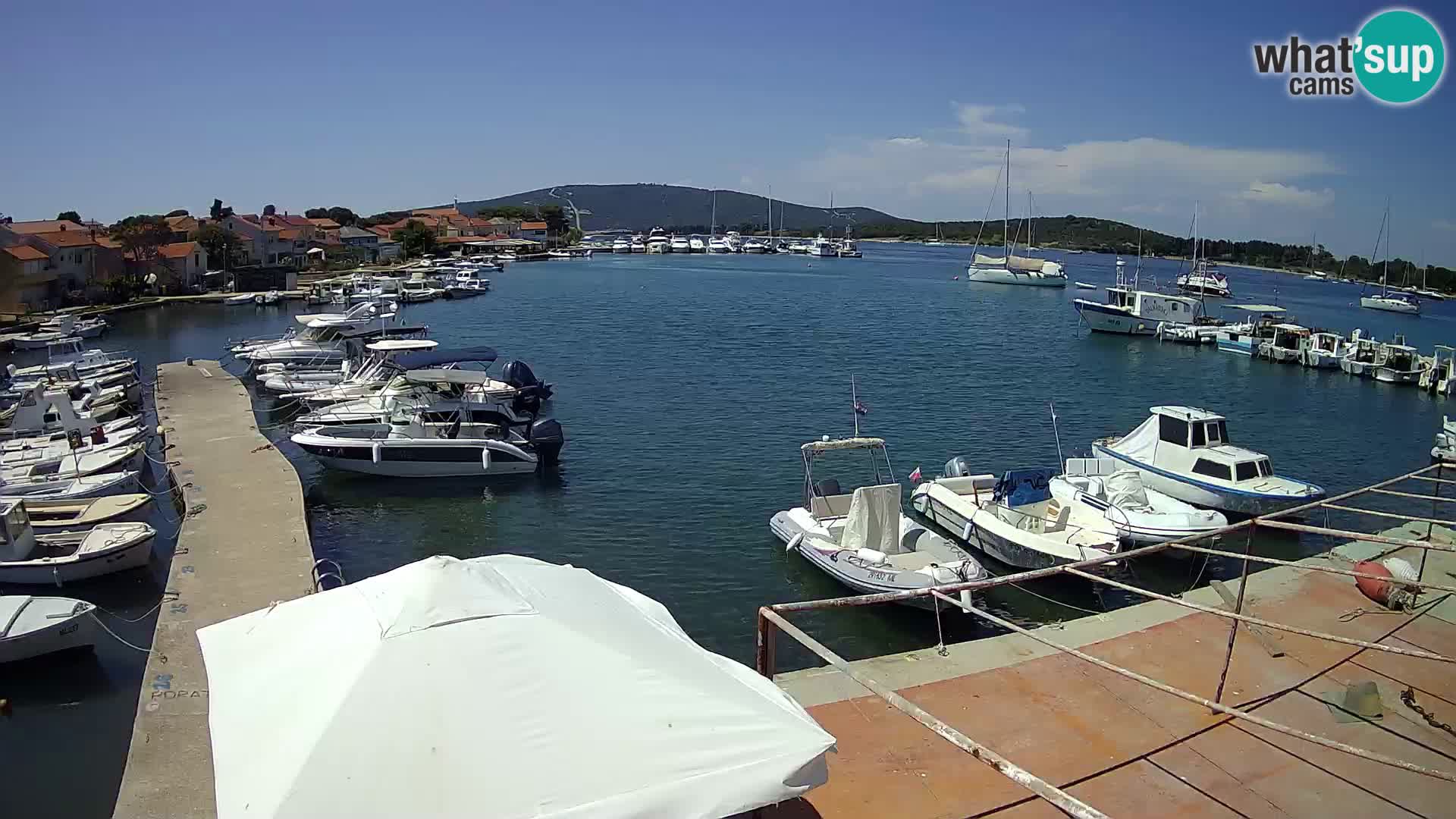 Camera en vivo Ilovik – Sveti Petar