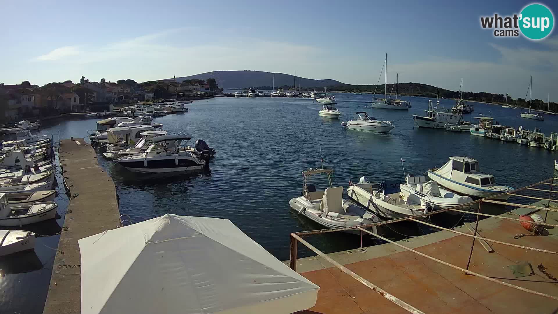 Livecam Asinello – San Piero