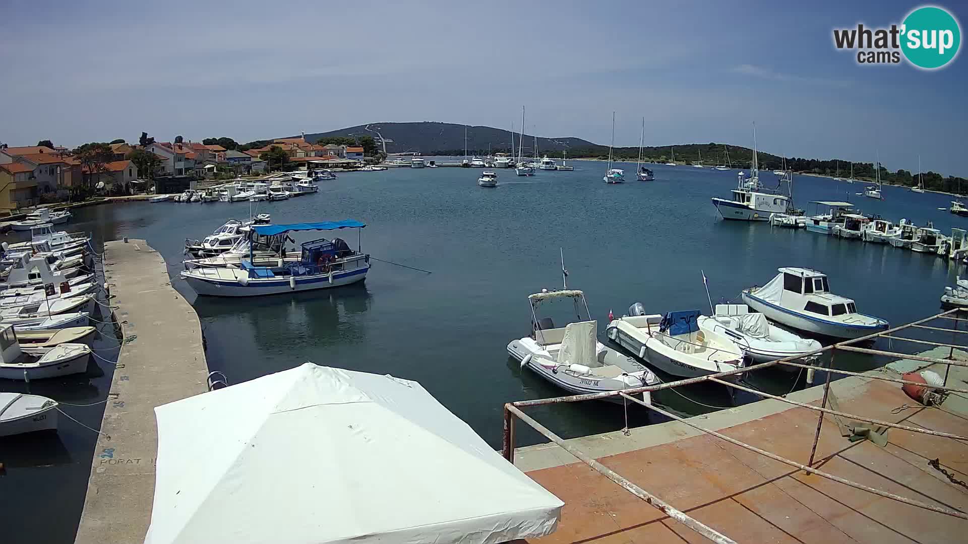 Camera en vivo Ilovik – Sveti Petar