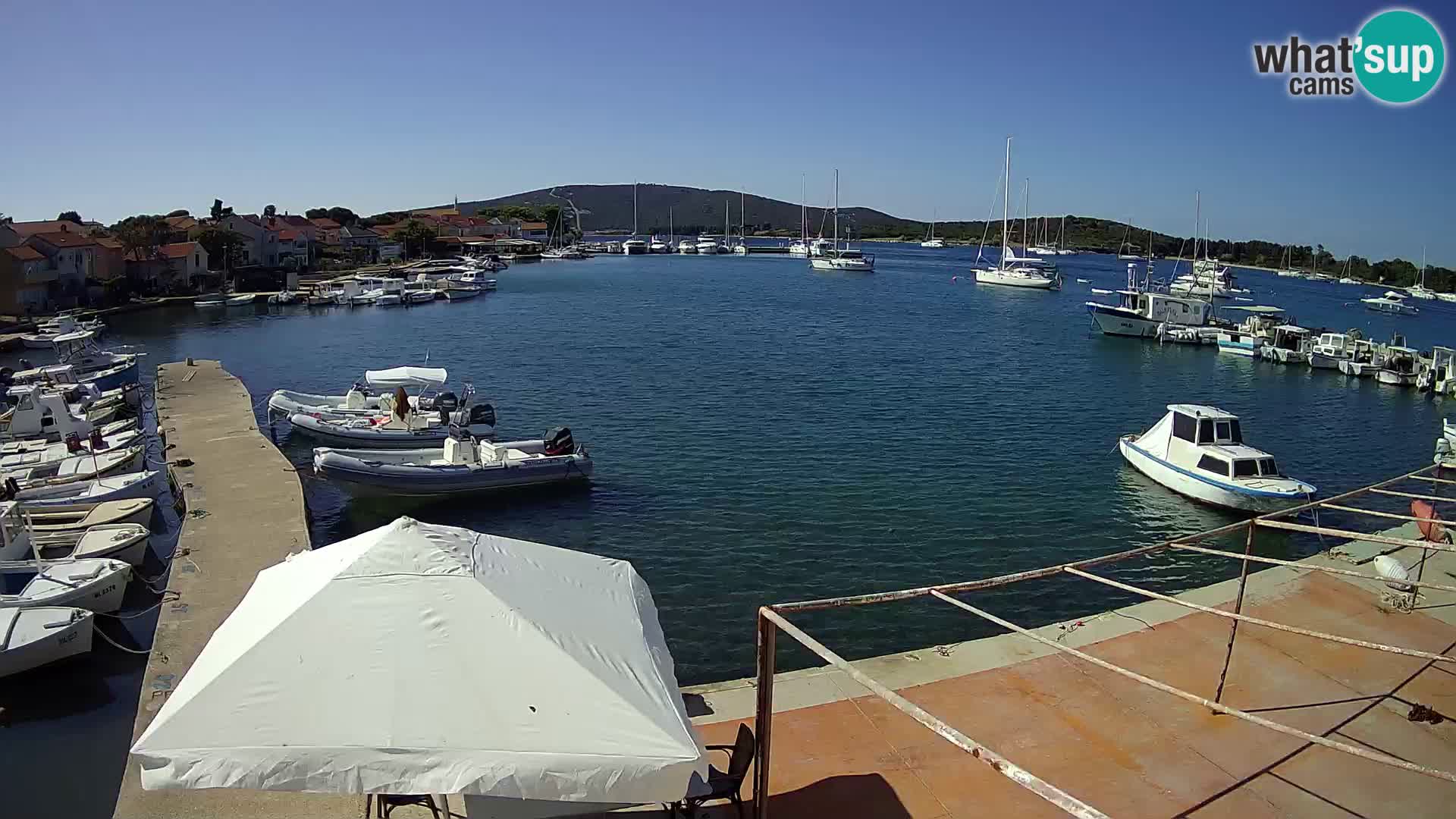 Livecam Asinello – San Piero